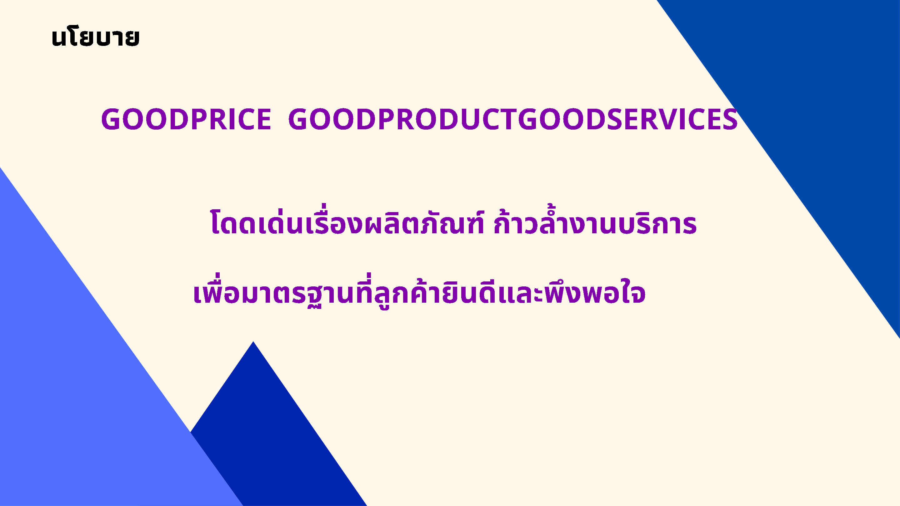 นโยบายบริษัท Filtergood
